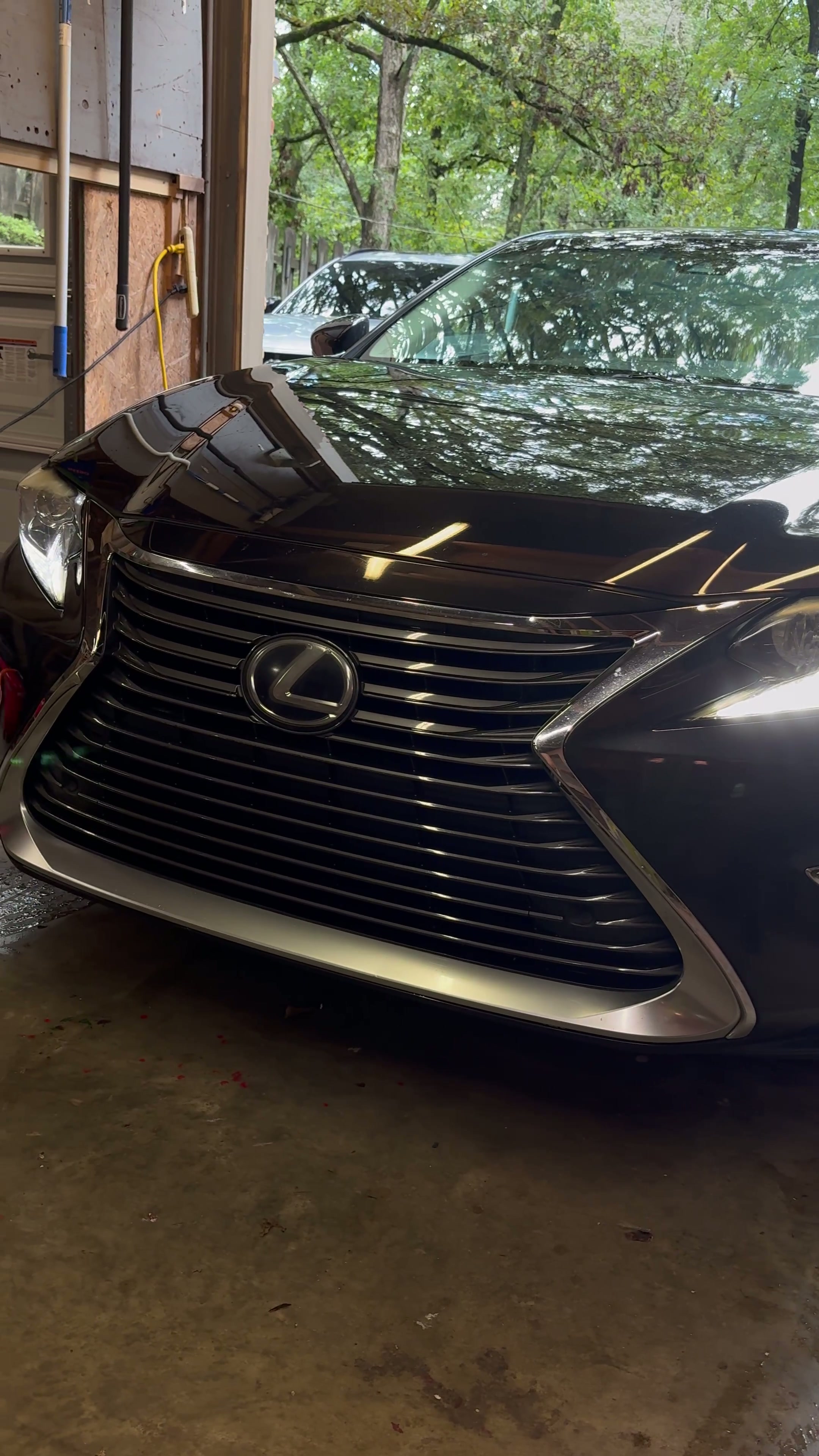 Glossy black Lexus front end after detail and decontamination